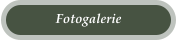 Fotogalerie