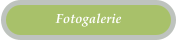 Fotogalerie